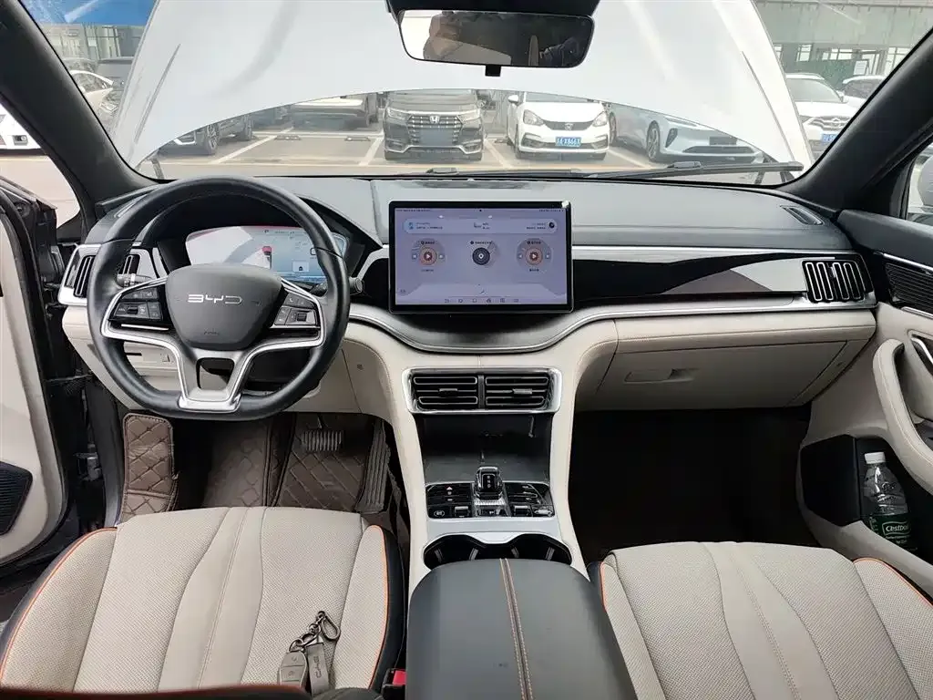 BYD PLUS New Energy 2023 из CN, фото 3