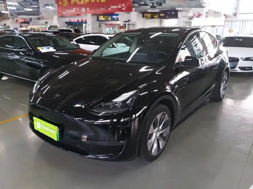 Tesla Model Y 2021 из CN, фото 1