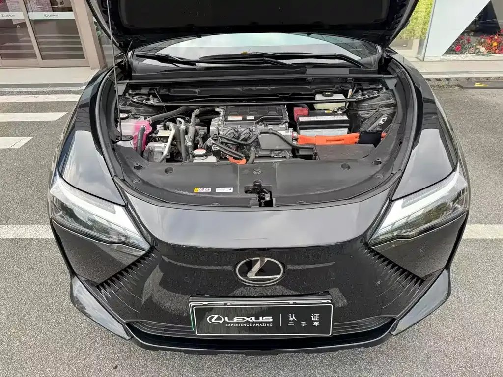 Lexus RZ 2023 из CN, фото 4