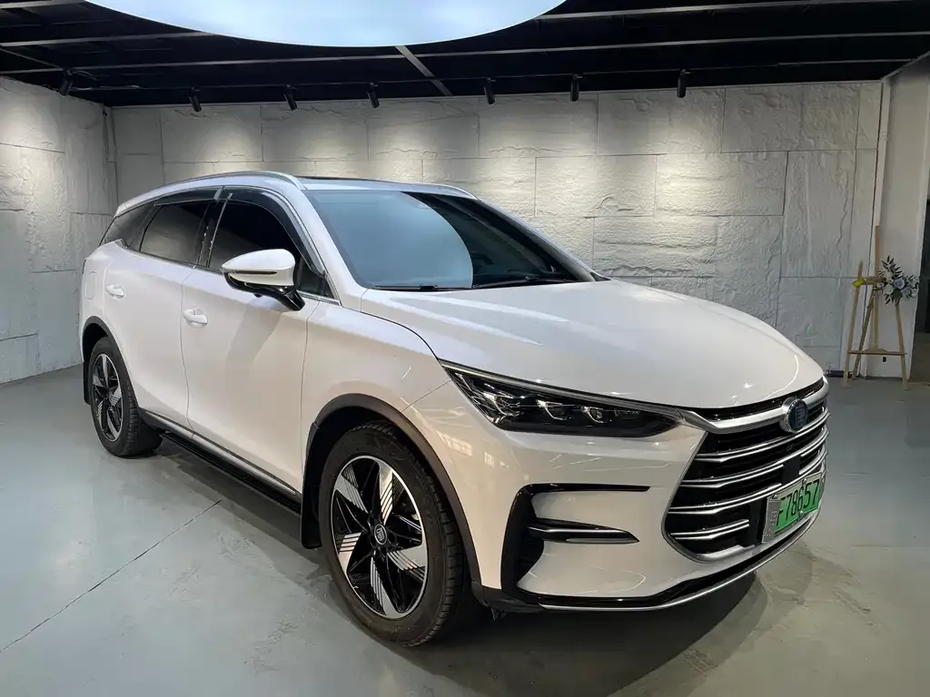 BYD Tang New Energy 2023 из CN, фото 2