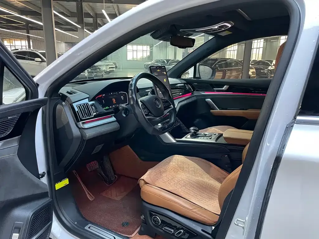 BYD Tang New Energy 2023 из CN, фото 10