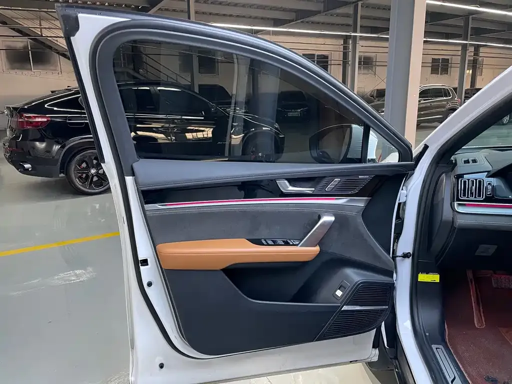 BYD Tang New Energy 2023 из CN, фото 8