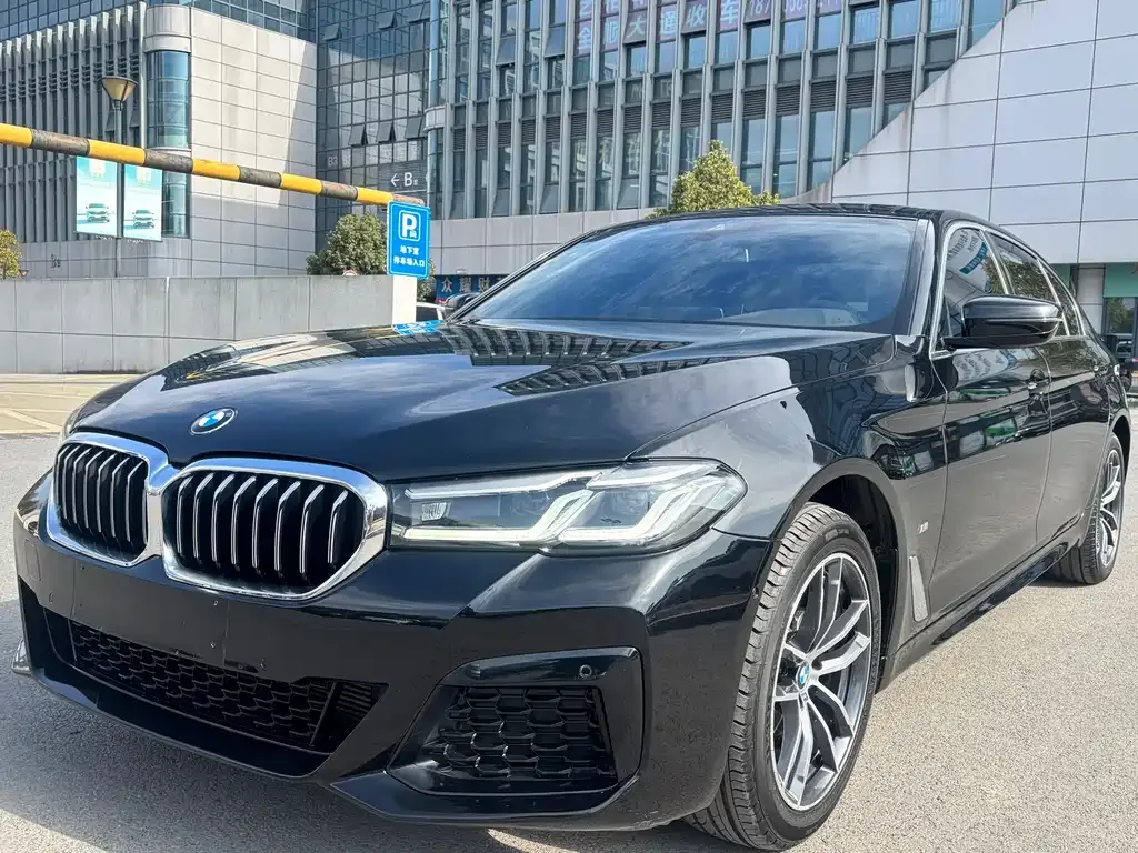 BMW 5 Series 2022 из CN, фото 1