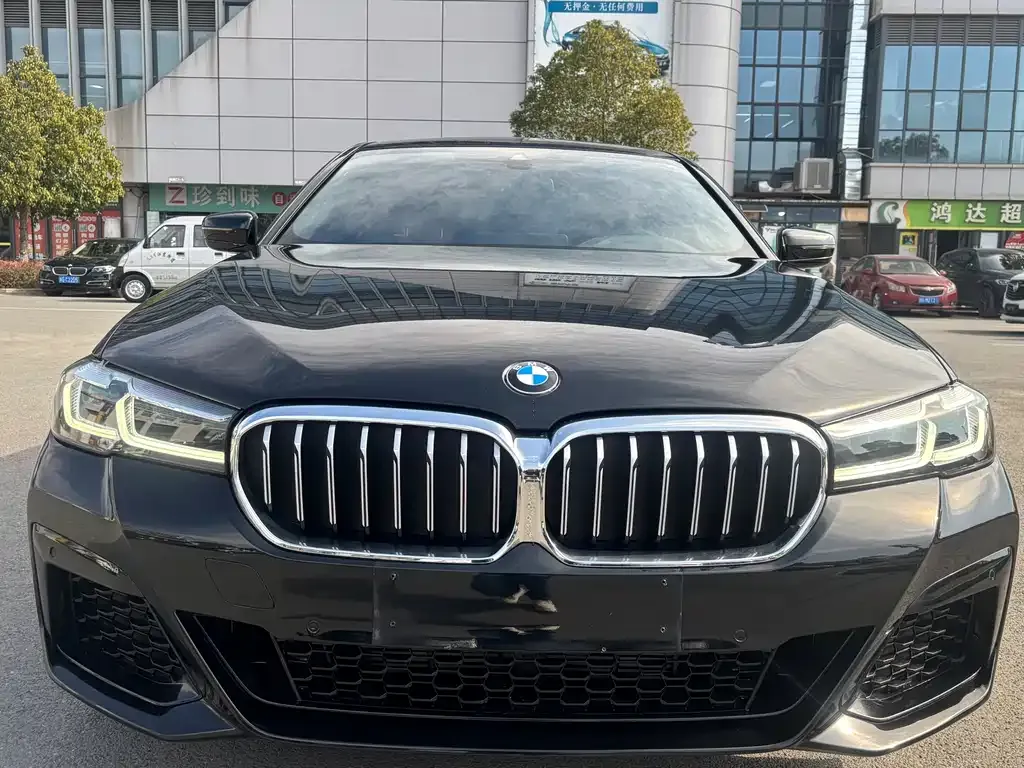 BMW 5 Series 2022 из CN, фото 10