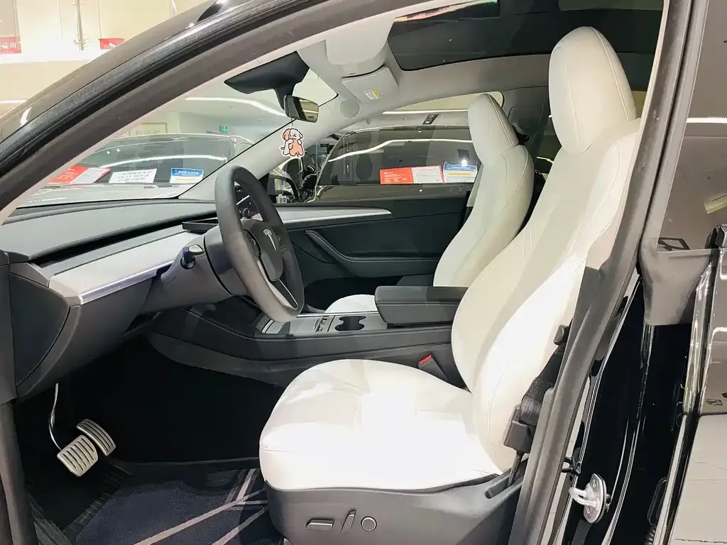 Tesla Model Y 2023 из CN, фото 8