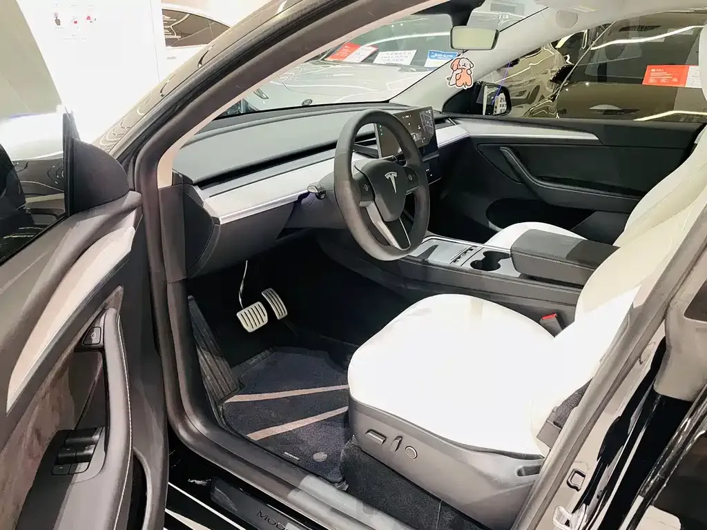 Tesla Model Y 2023 из CN, фото 9
