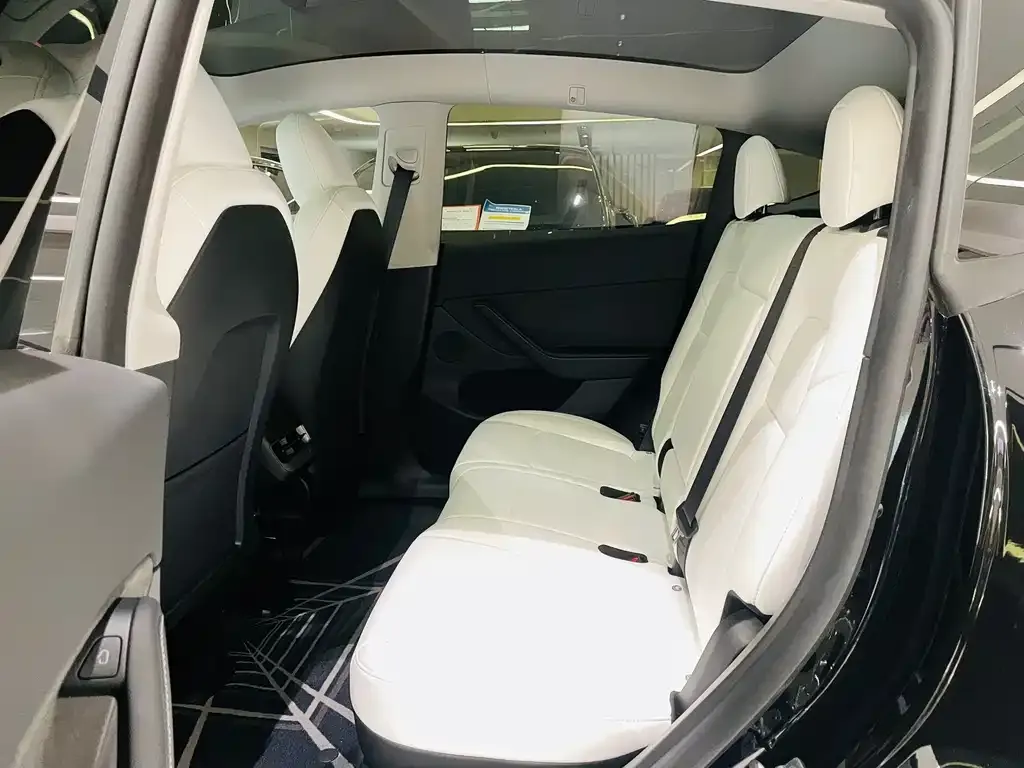 Tesla Model Y 2023 из CN, фото 5