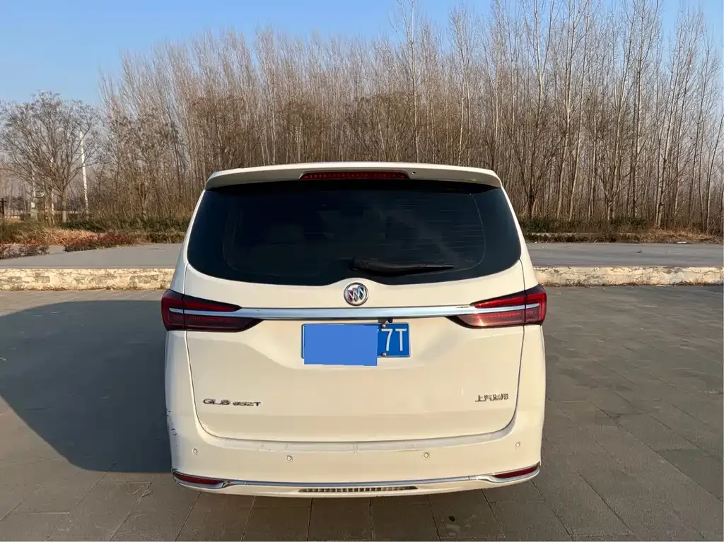 Buick GL8 2022 из CN, фото 5