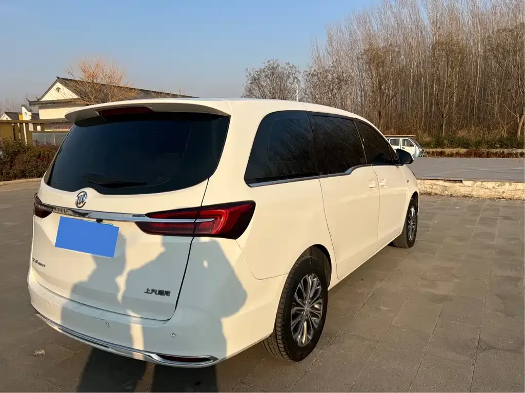 Buick GL8 2022 из CN, фото 6