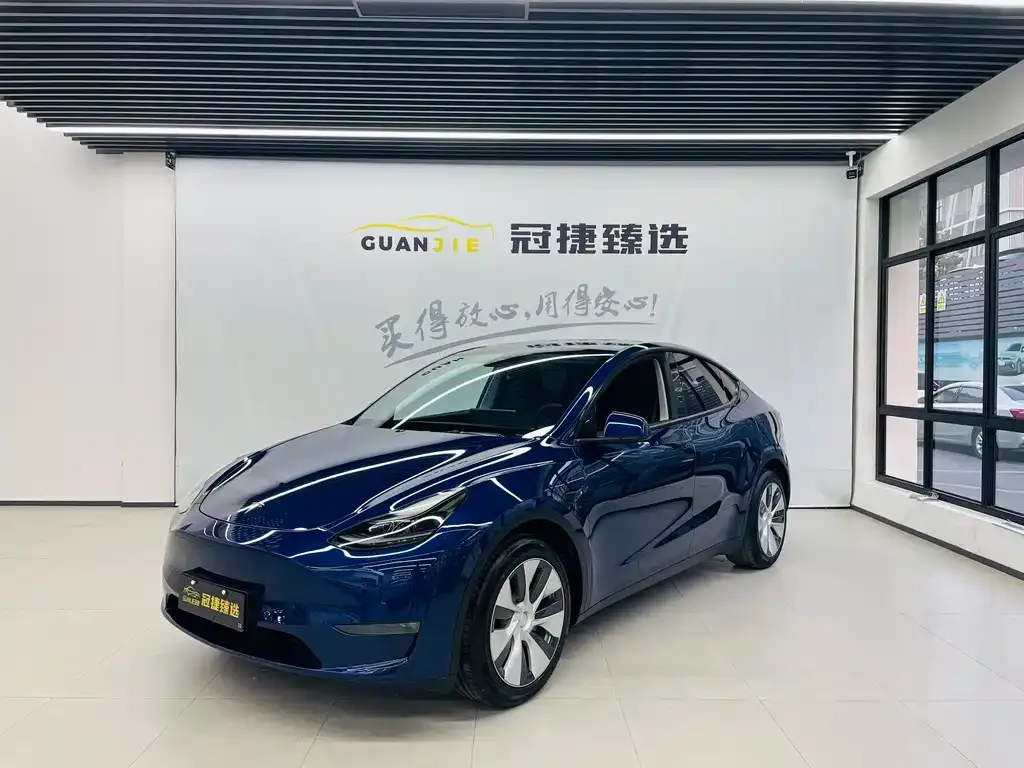Tesla Model Y 2021 из CN, фото 1