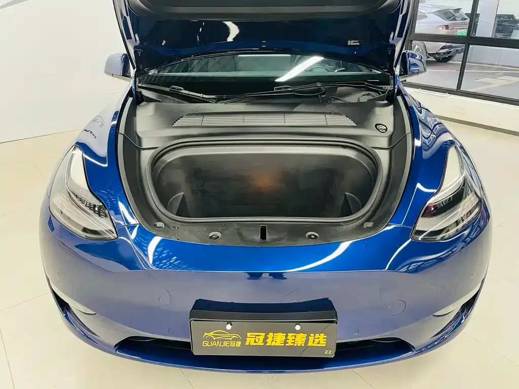 Tesla Model Y 2021 из CN, фото 6