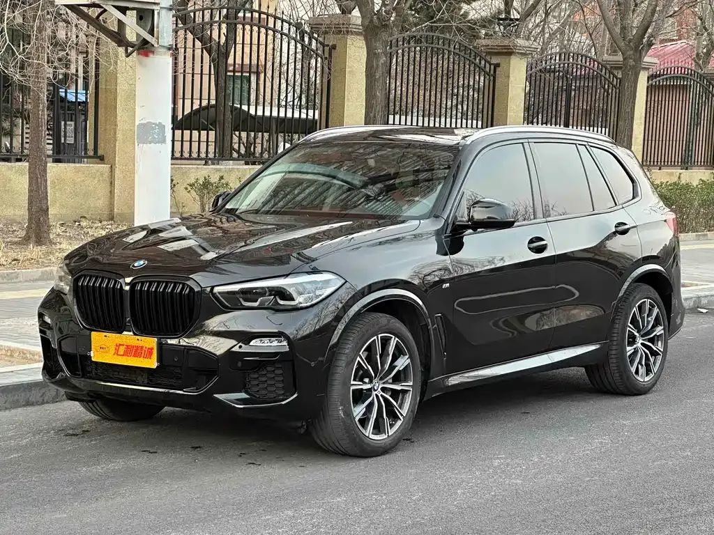 BMW X5 (Import) 2021 из CN, фото 1