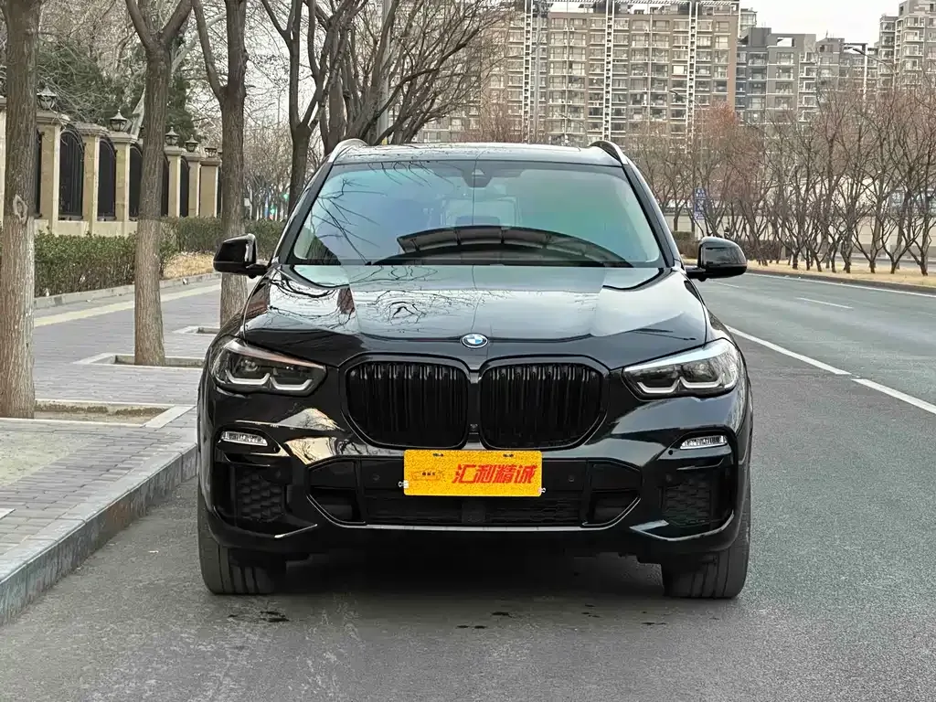 BMW X5 (Import) 2021 из CN, фото 10
