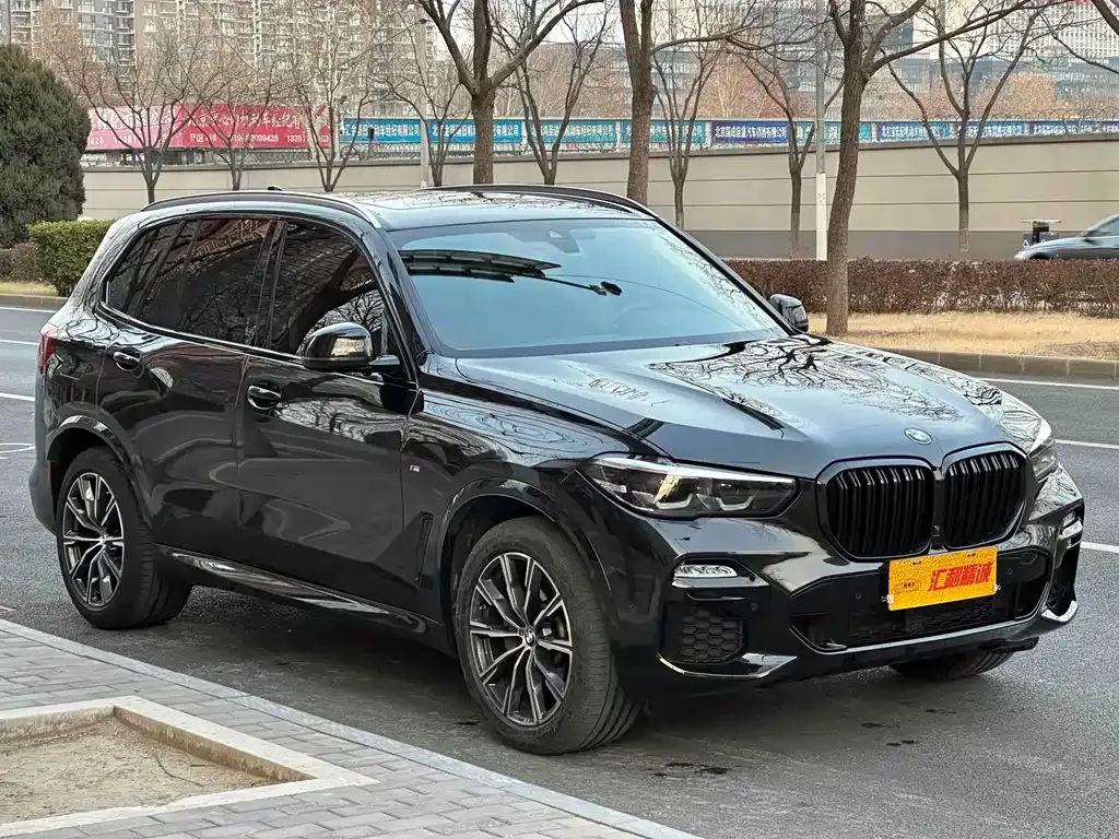 BMW X5 (Import) 2021 из CN, фото 9