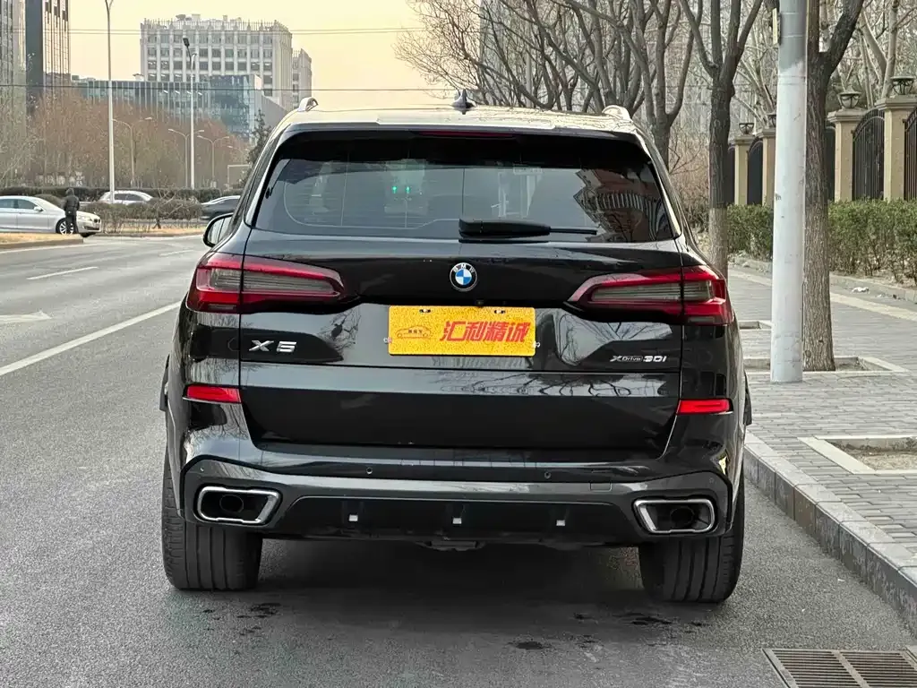 BMW X5 (Import) 2021 из CN, фото 2