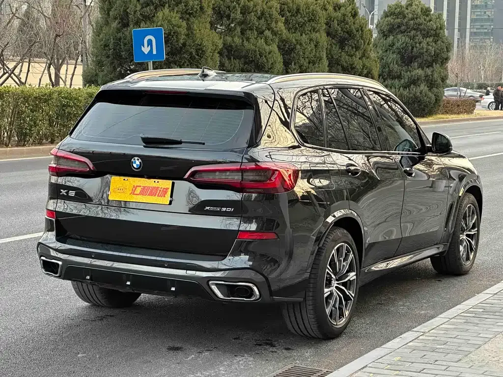 BMW X5 (Import) 2021 из CN, фото 7