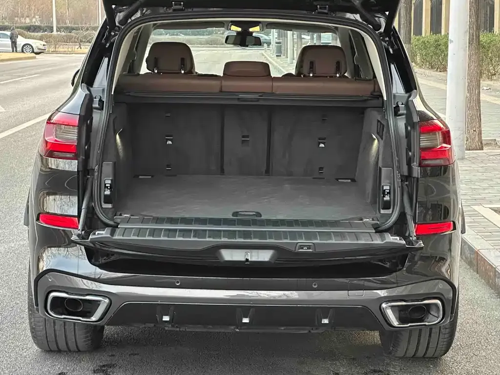 BMW X5 (Import) 2021 из CN, фото 5