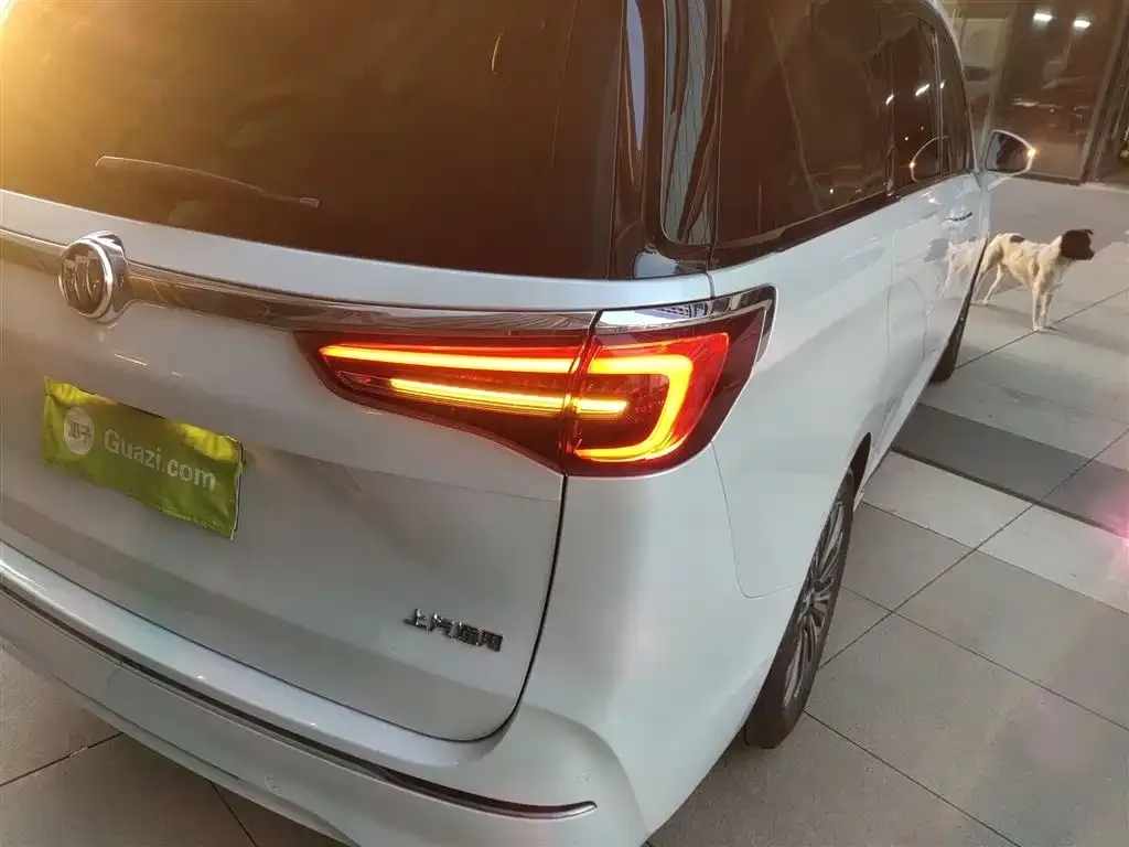 Buick GL8 2022 из CN, фото 6