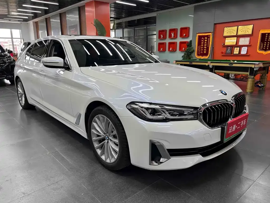 BMW 5 Series New Energy 2021 из CN, фото 4