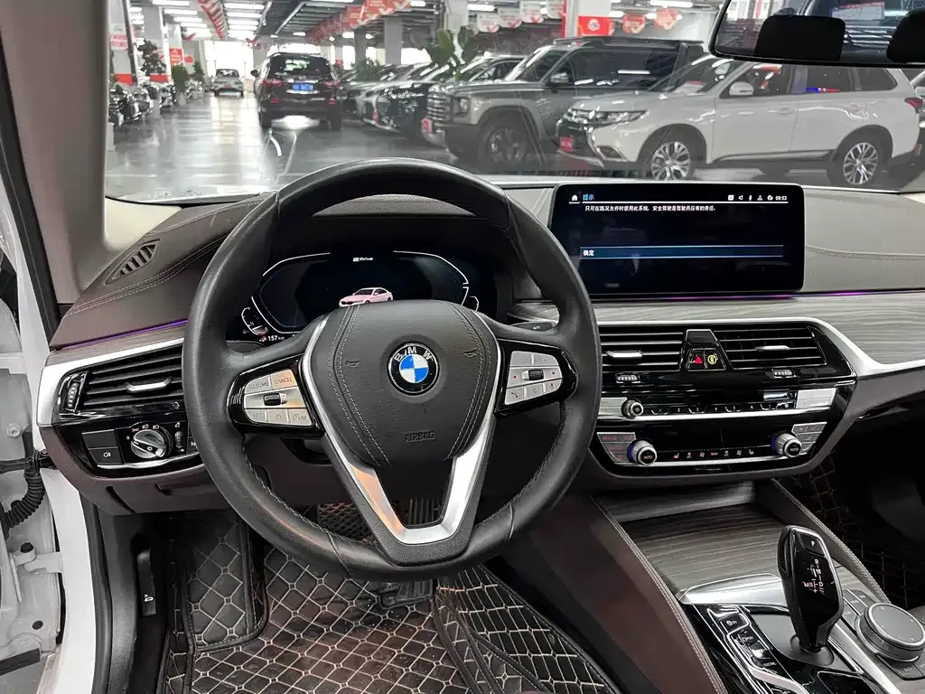 BMW 5 Series New Energy 2021 из CN, фото 9