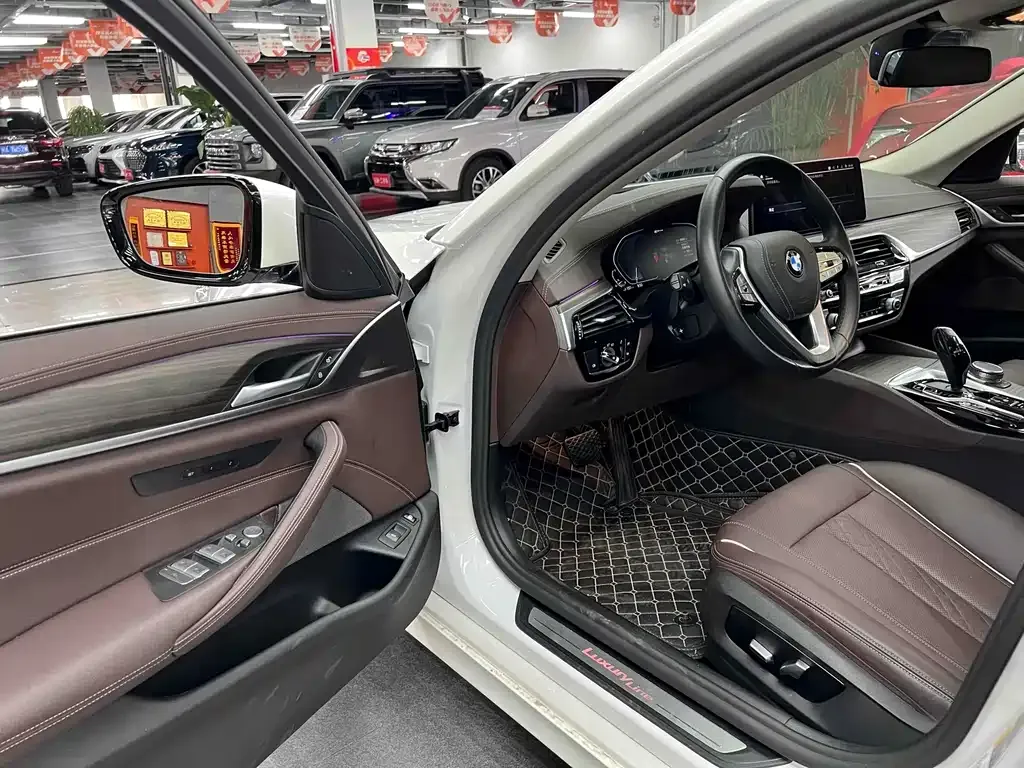 BMW 5 Series New Energy 2021 из CN, фото 10