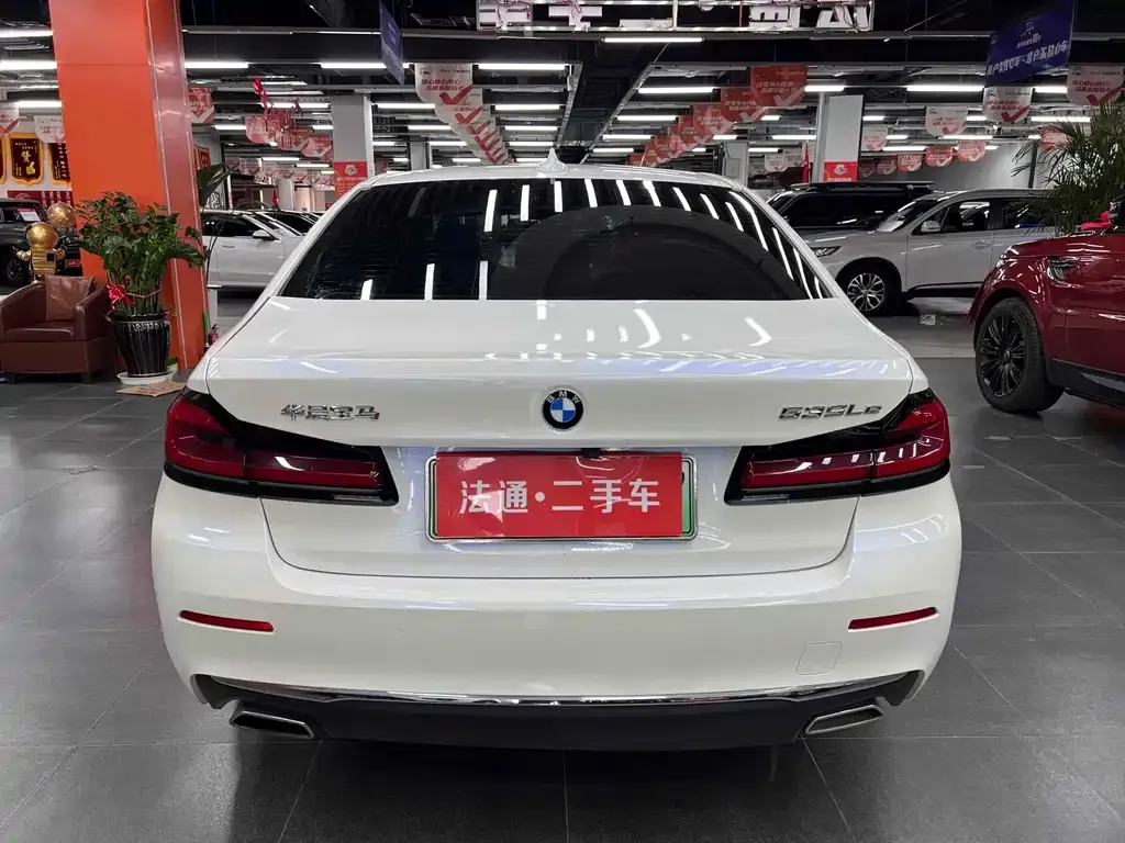 BMW 5 Series New Energy 2021 из CN, фото 7