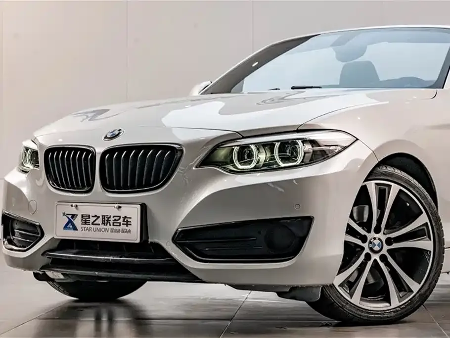 BMW 2 Series (Import) 2021 из CN, фото 1