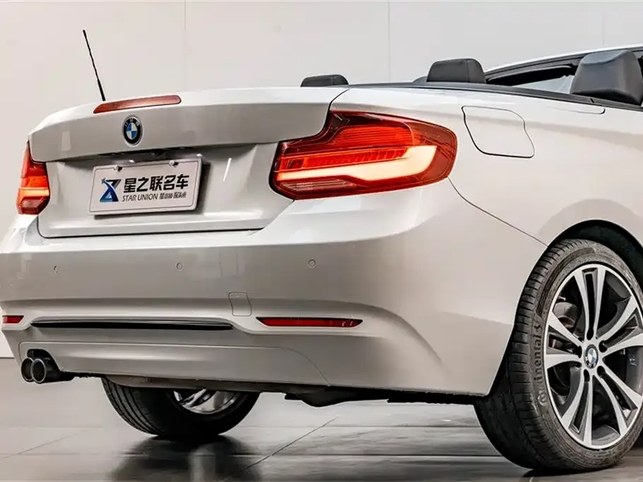 BMW 2 Series (Import) 2021 из CN, фото 2