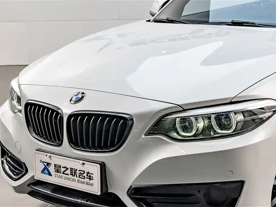 BMW 2 Series (Import) 2021 из CN, фото 4