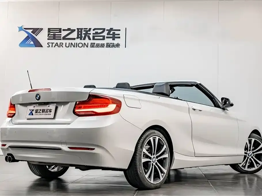 BMW 2 Series (Import) 2021 из CN, фото 9