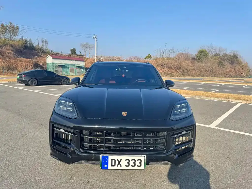 Porsche Cayenne Hybrid 2024 из CN, фото 4