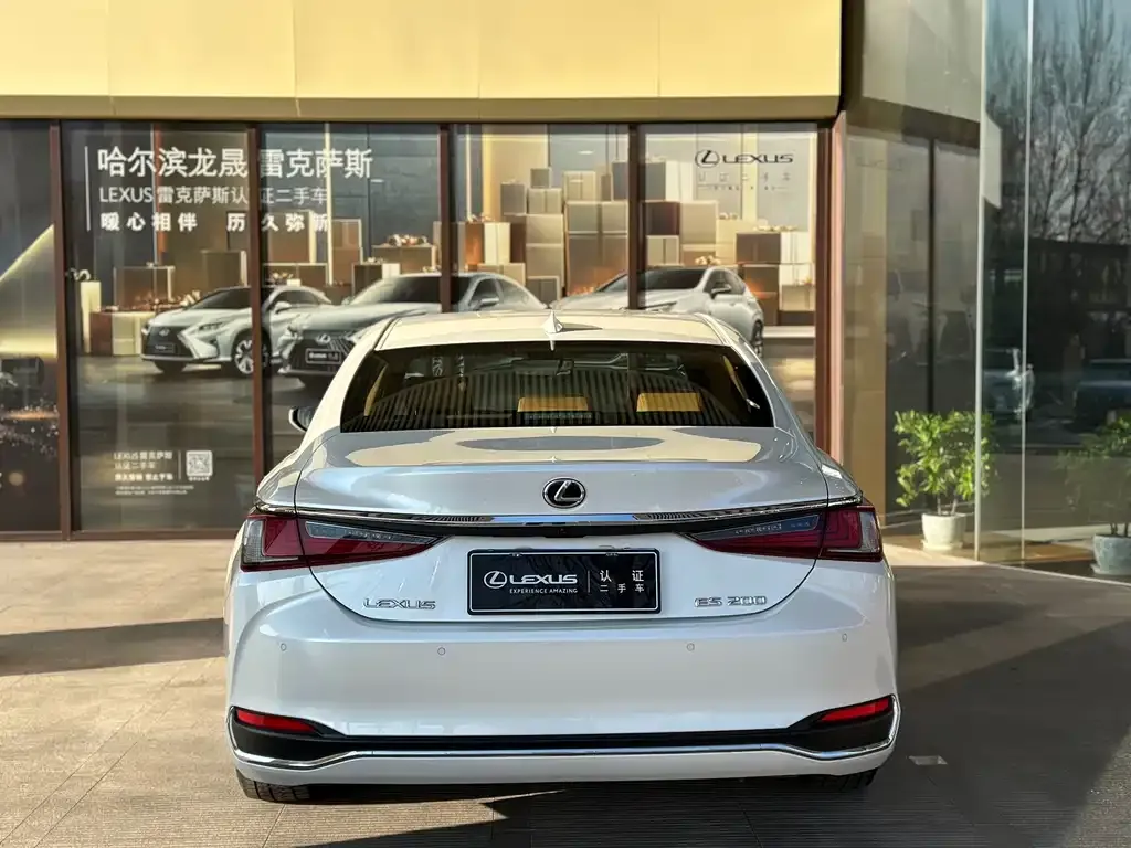 Lexus ES 2023 из CN, фото 9