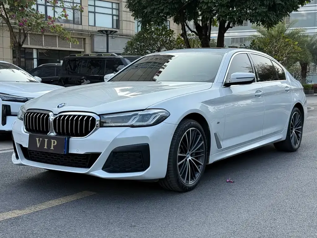 BMW 5 Series 2022 из CN, фото 1