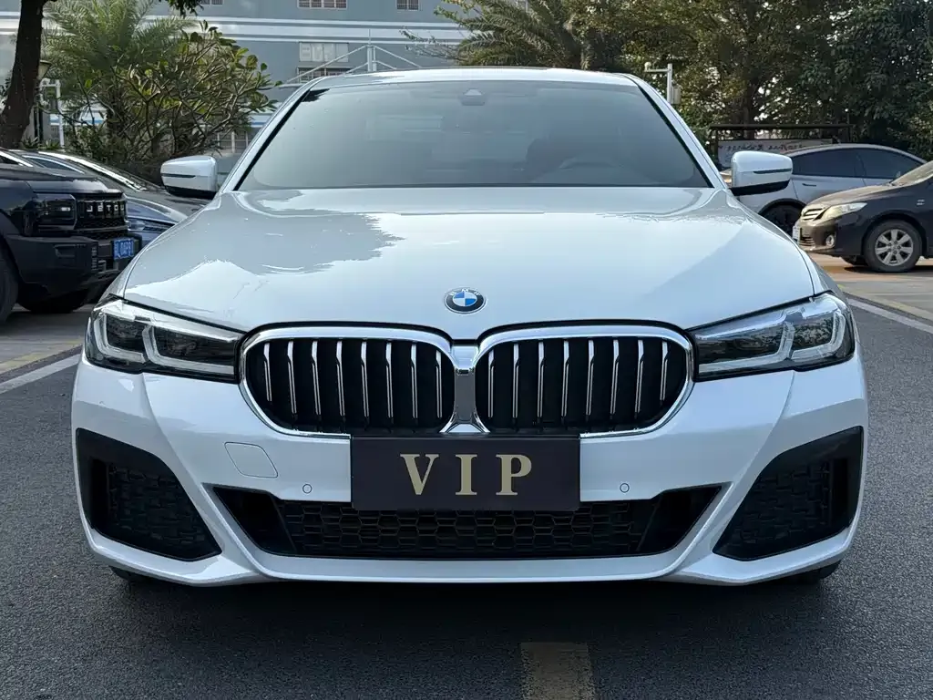 BMW 5 Series 2022 из CN, фото 2