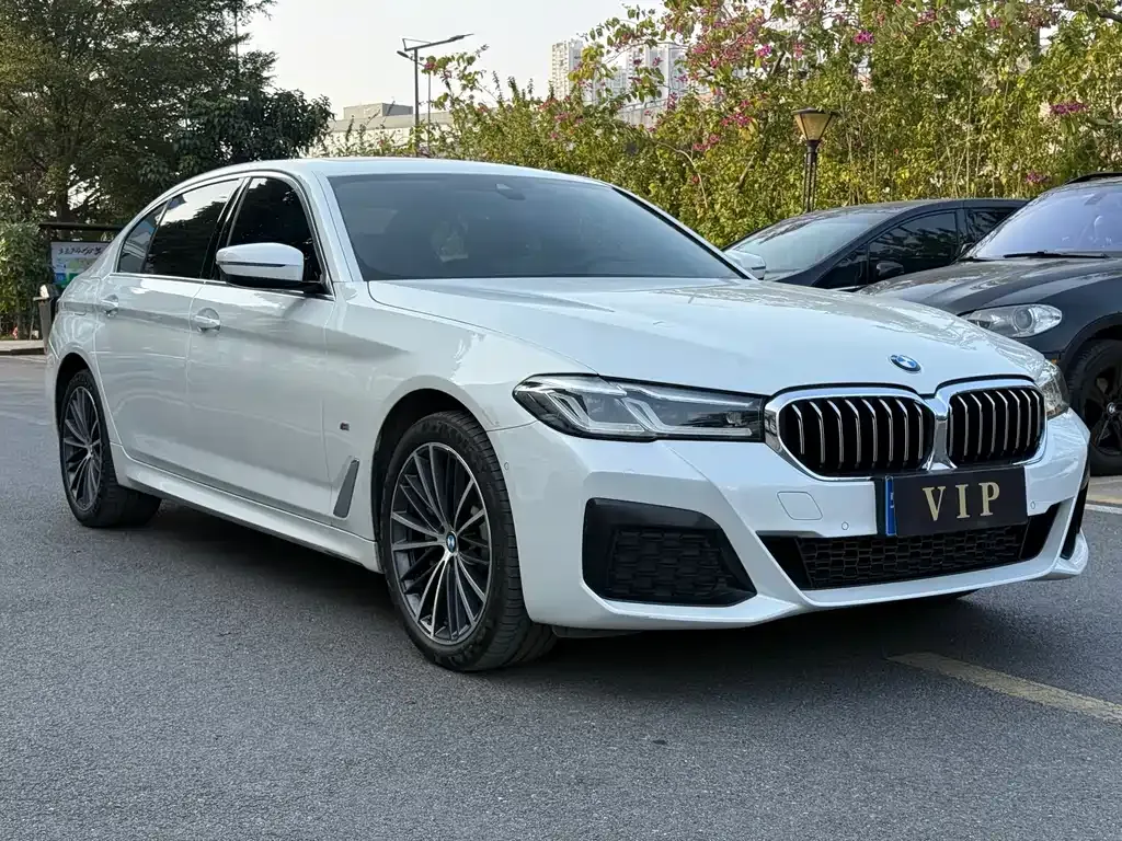 BMW 5 Series 2022 из CN, фото 4