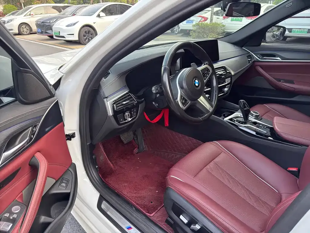 BMW 5 Series 2022 из CN, фото 3