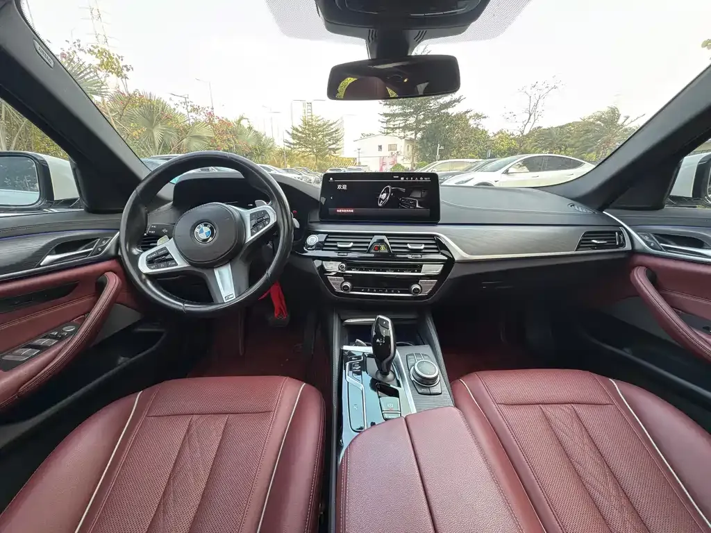 BMW 5 Series 2022 из CN, фото 8