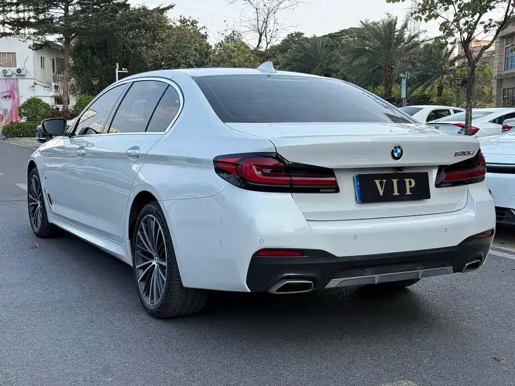 BMW 5 Series 2022 из CN, фото 6