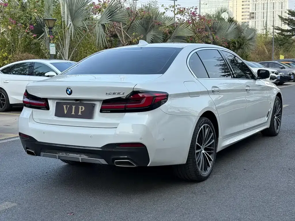 BMW 5 Series 2022 из CN, фото 7