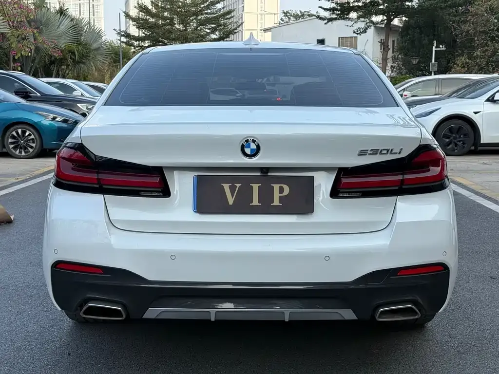 BMW 5 Series 2022 из CN, фото 9
