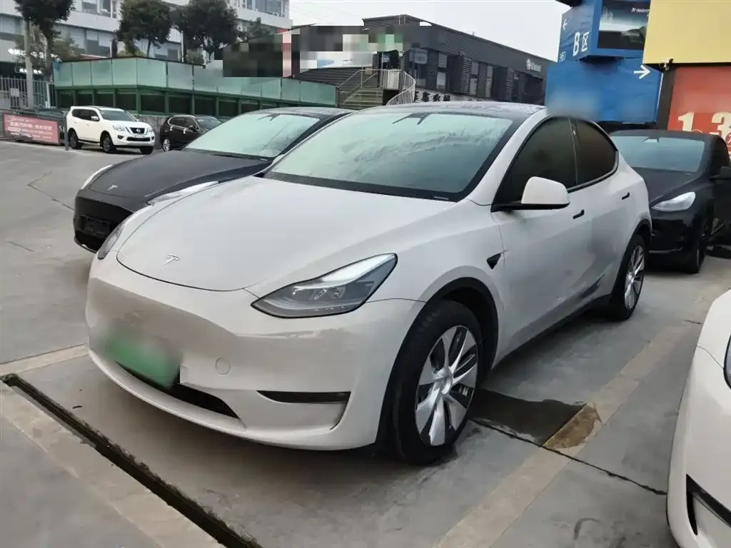 Tesla Model Y 2021 из CN, фото 1