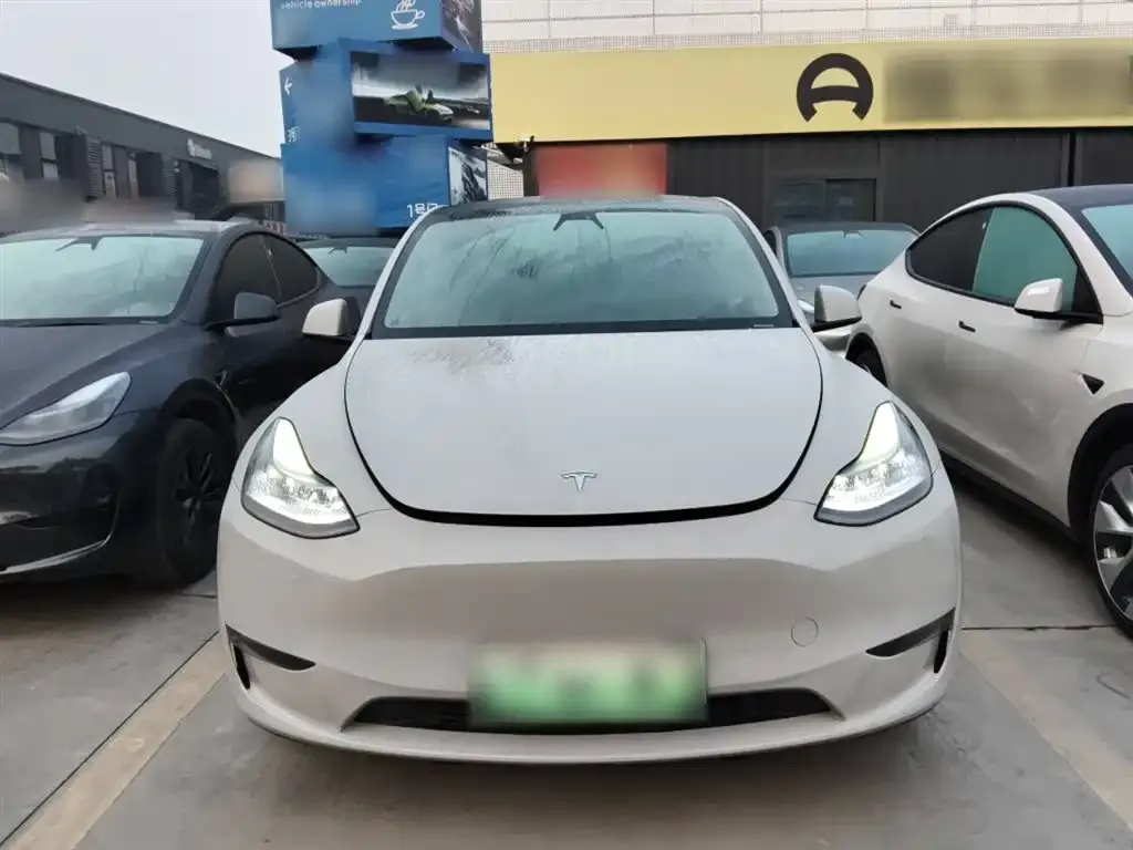 Tesla Model Y 2021 из CN, фото 4