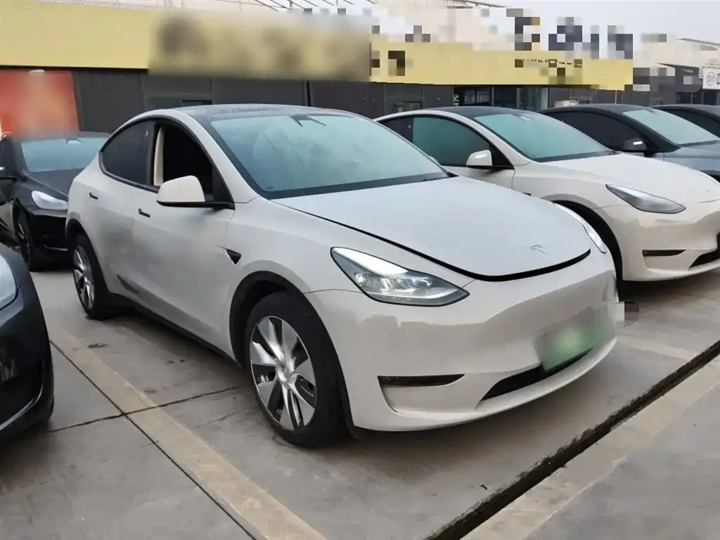 Tesla Model Y 2021 из CN, фото 2