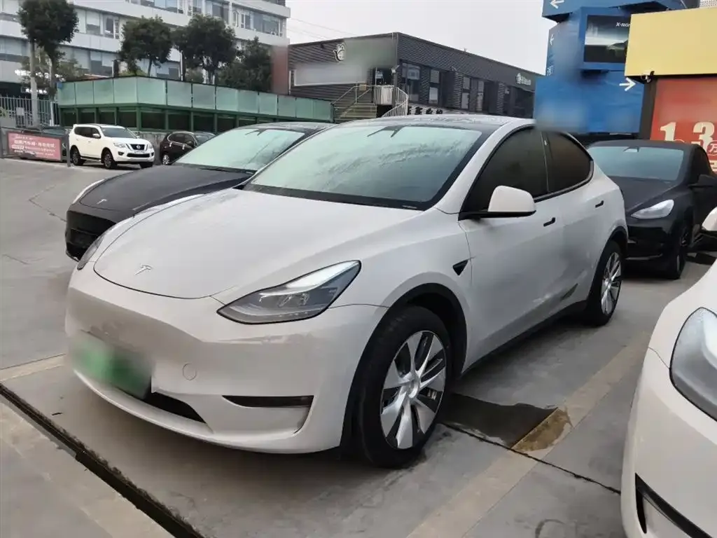 Tesla Model Y 2021 из CN, фото 5