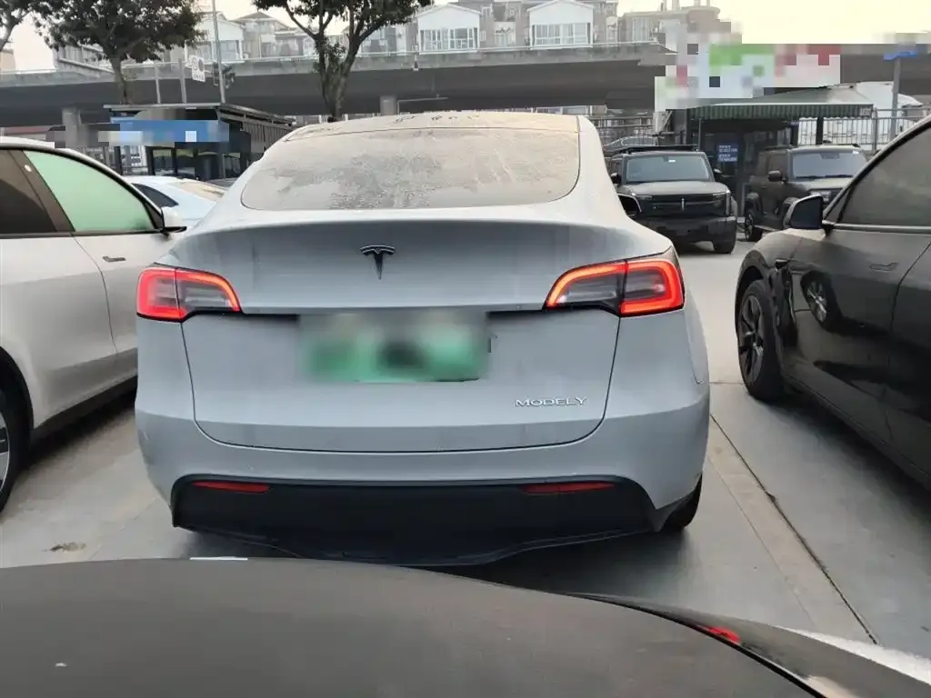 Tesla Model Y 2021 из CN, фото 8