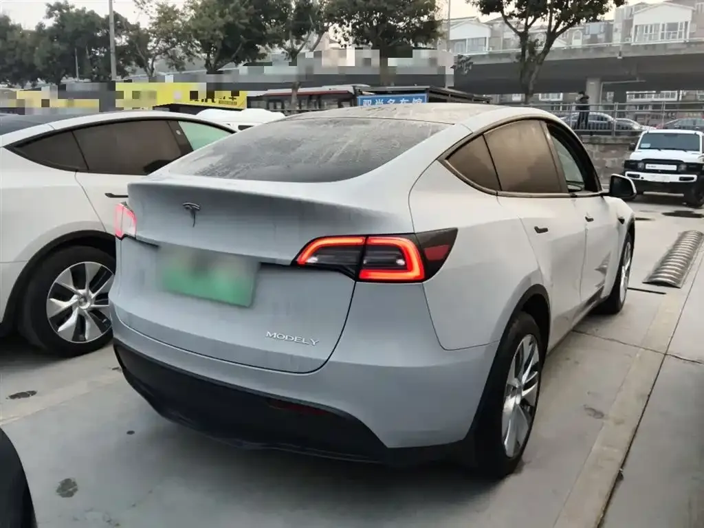 Tesla Model Y 2021 из CN, фото 6