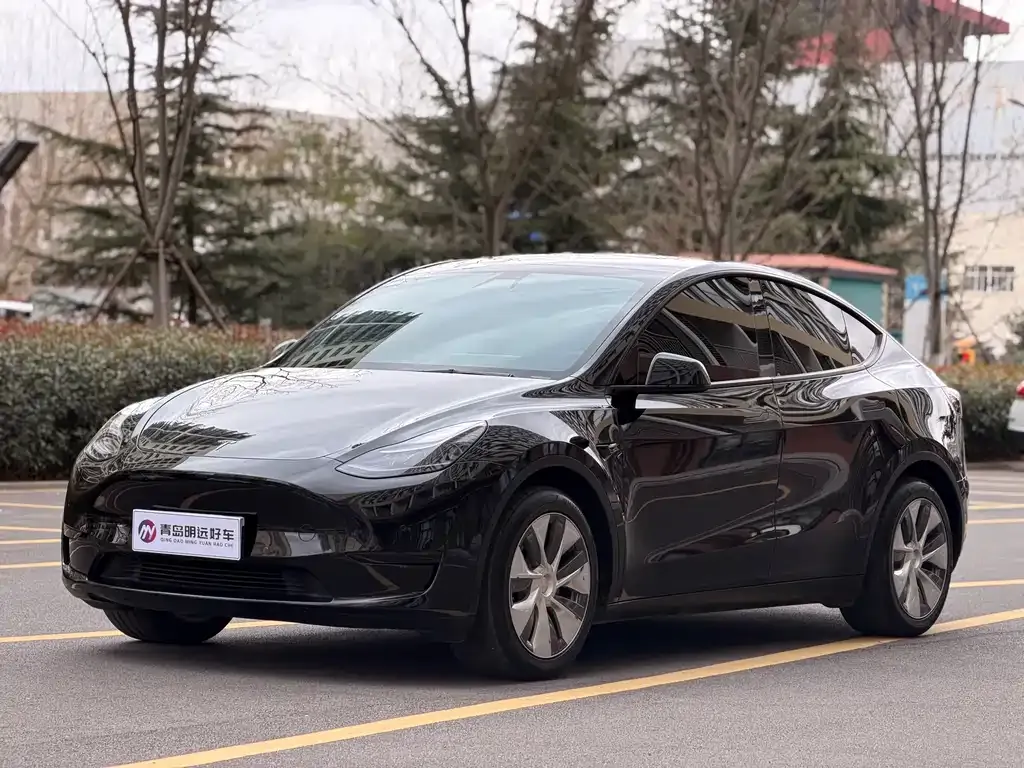 Tesla Model Y 2022 из CN, фото 1