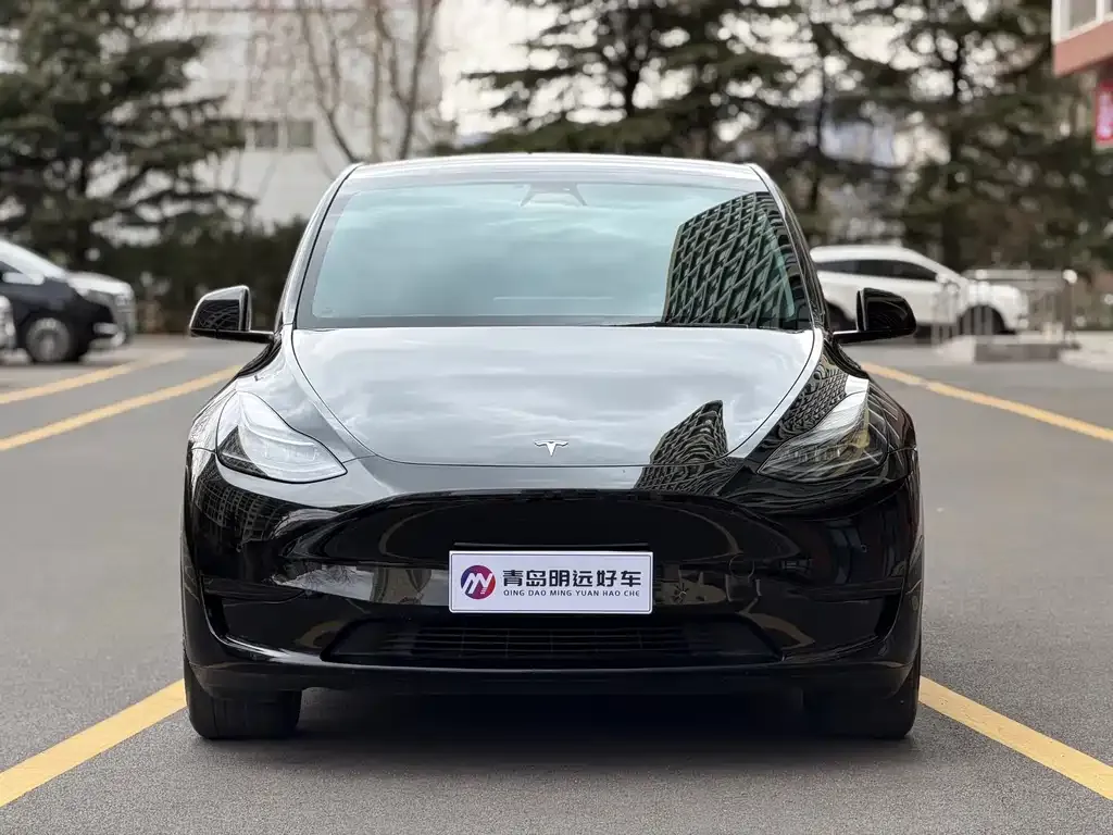 Tesla Model Y 2022 из CN, фото 2