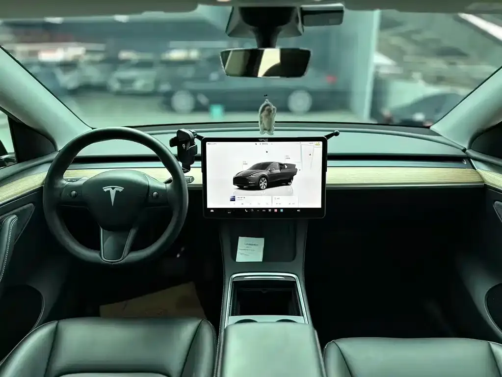 Tesla Model Y 2022 из CN, фото 4