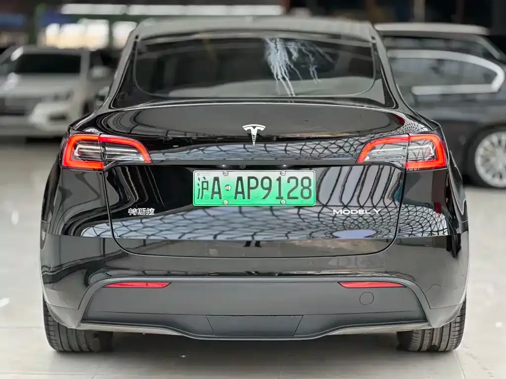 Tesla Model Y 2022 из CN, фото 9